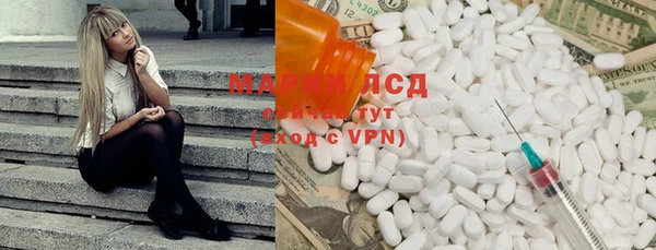 мяу мяу мука Гусев