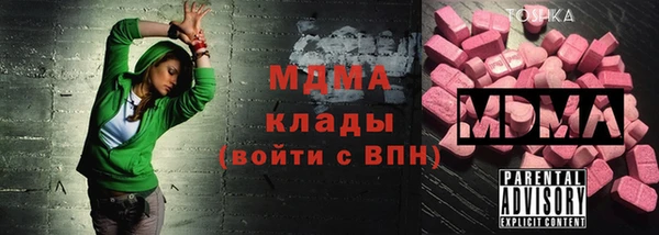 ГАЛЛЮЦИНОГЕННЫЕ ГРИБЫ Гусь-Хрустальный