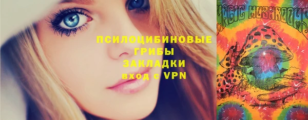 ГАЛЛЮЦИНОГЕННЫЕ ГРИБЫ Гусь-Хрустальный