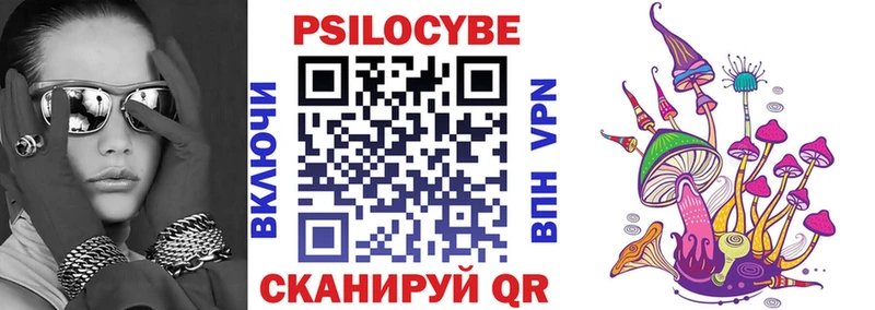 Купить где  Енисейск  Псилоцибиновые грибы Psilocybe 